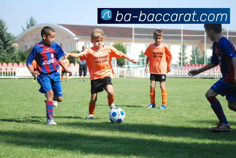 百家乐官网平台生态图